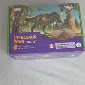 Dinosaur Excavation Kit